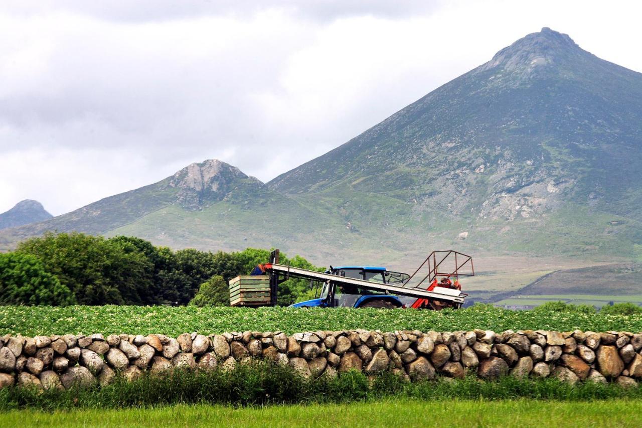 Ballykeel Farm, Mourne Mountains Ballymartin Kültér fotó