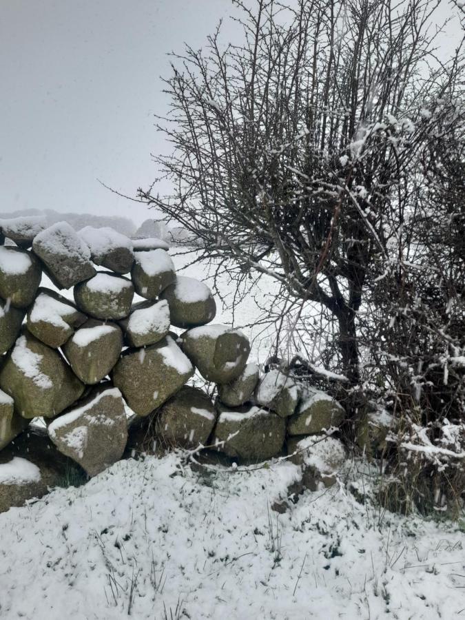 Ballykeel Farm, Mourne Mountains Ballymartin Kültér fotó